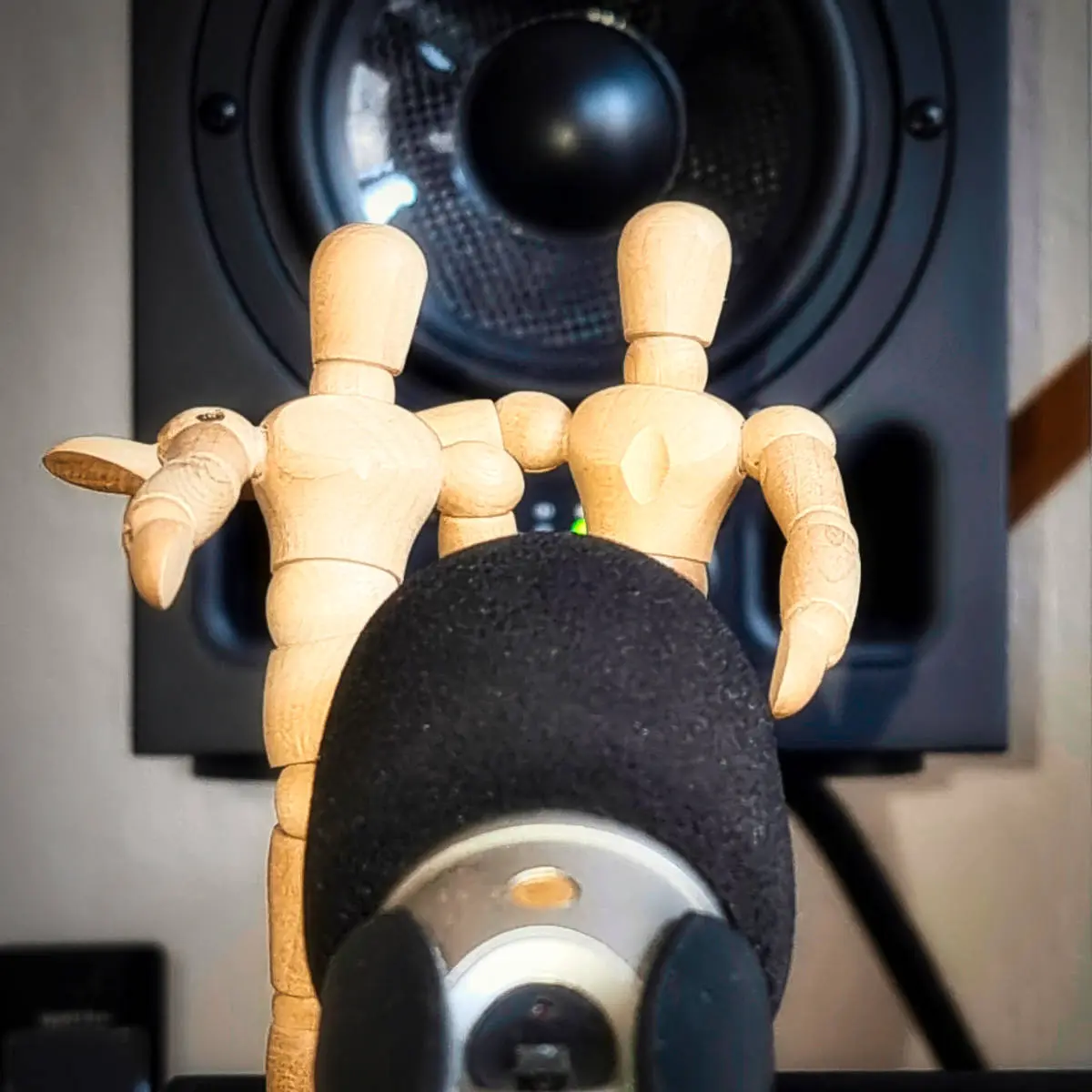 Wooden figures behind a microphone