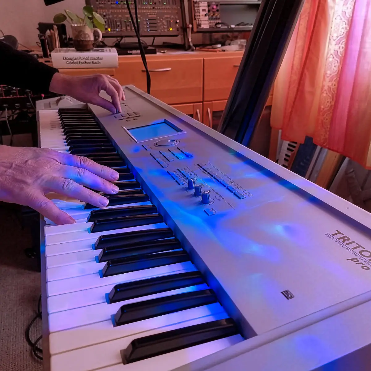 Korg Triton Pro in front of Gödel, Escher, Bach